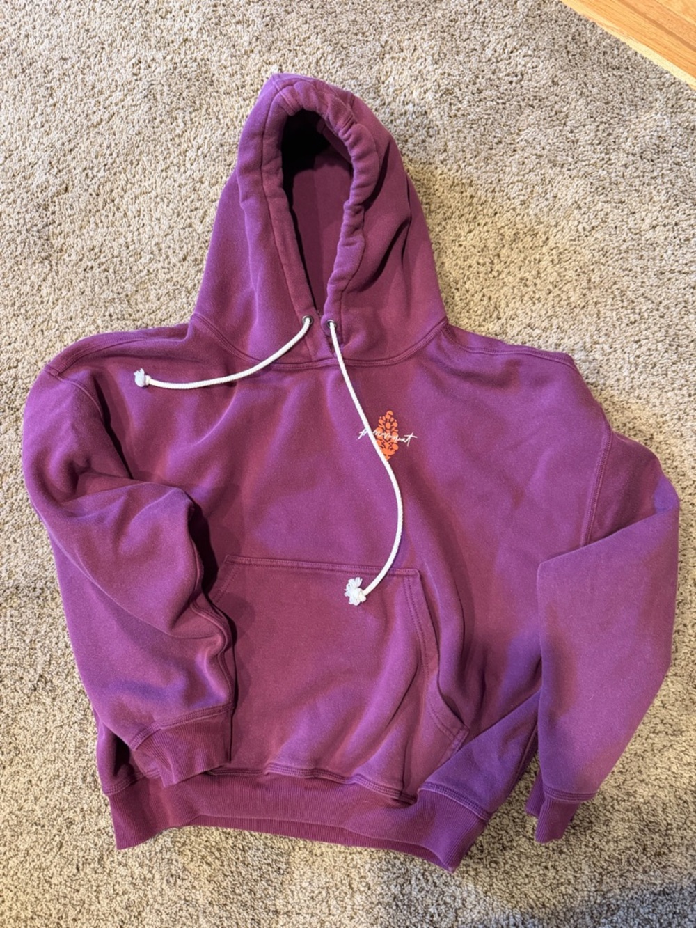 Free People Purple Pullover Hoodie with Drawstring